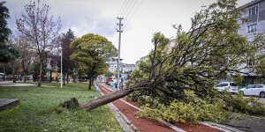 Ankara'da şiddetli rüzgar hayatı olumsuz etkiledi