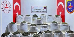 Diyarbakır'da 915 kilo uyuşturucu ele geçirildi!