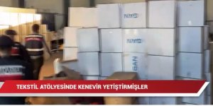 Tekstil atölyesinde kenevir yetiştirmişler