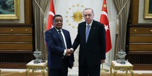 Cumhurbaşkanı Erdoğan, eski Etiyopya Cumhurbaşkanı Wirtu'yu kabul etti