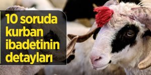 '10 SORUDA VEKALETLE KURBAN KESİMİ'