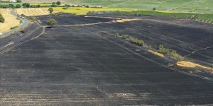 Edirne'de biçerdöverin tutuşması sonucu 100 dekarlık buğday ekili alan yandı