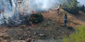 Bingöl'de ormanlık alanda çıkan yangın söndürüldü