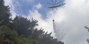 Hatay'da çıkan orman yangını kontrol altına alındı