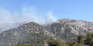 Muğla'nın Milas ilçesinde orman yangını