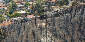 Kurum: Orman yangınlarından etkilenen İzmir'de 43 bina ve 45 bağımsız bölüm yıkık, ağır veya orta hasarlı