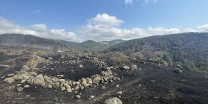 Bolu'da kontrol altına alınan yangında soğutma çalışması sürüyor