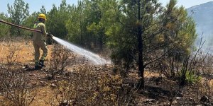 Mersin'de 4 noktada orman yangını çıkaran tutuklu 2 zanlı birbirini suçladı