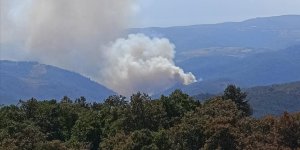 Bursa'da ormanlık alanda çıkan yangına müdahale ediliyor