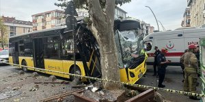 Bahçelievler'de ağaca çarpan İETT otobüsündeki 7 kişi yaralandı