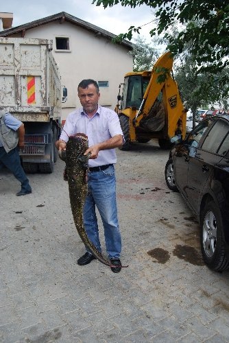 20 kiloluk yayın balığını elleriyle yakaladı