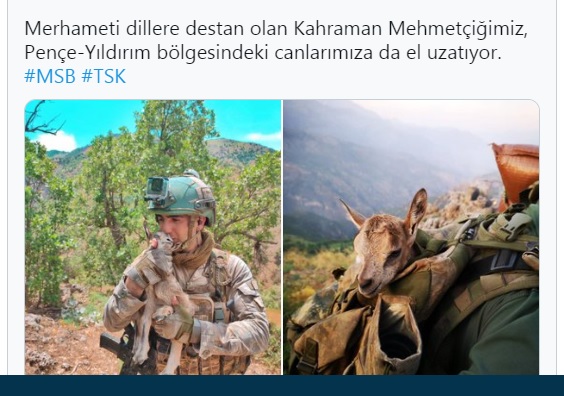 adsiz-177.jpg