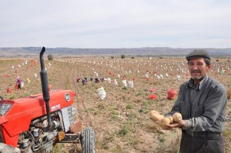 Afyon yıl sonunda dünyaya dondurulmuş patates satacak