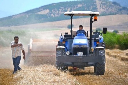 Akranları tatile o çobanlığa gitti