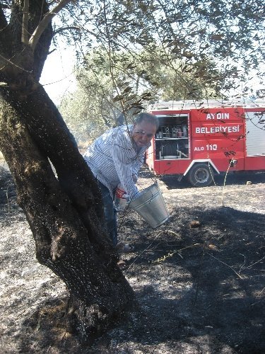 Aydın'da zeytinlik alanda çıkan yangın geç müdahale nedeniyle büyüdü