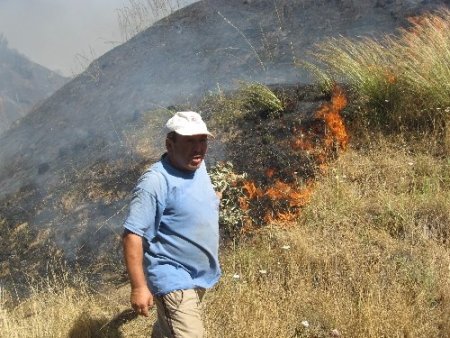 Aydın'da zeytinlik alanda çıkan yangın geç müdahale nedeniyle büyüdü