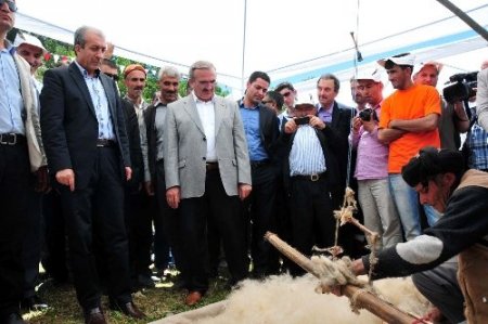 Bakan Eker Kürt alim Feqiye Teyran Festivali'ne katıldı