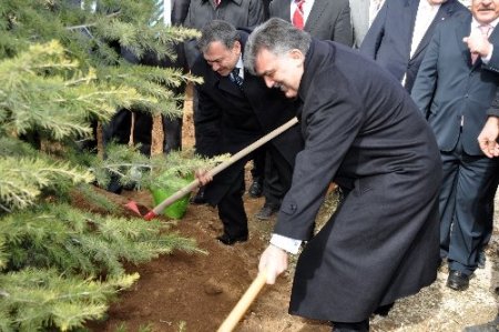 Bakan Eroğlu'dan çölleşme uyarısı