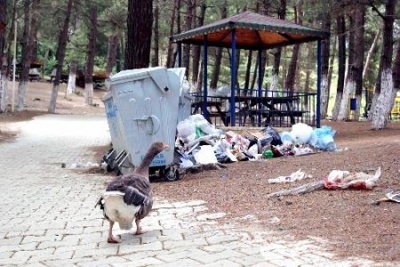 Bakanlıktan en temiz köy ödülü alan Müftüler'de piknik alanı çöpten geçilmiyor