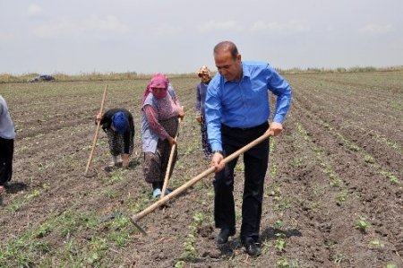 Başkan Sözlü işçilerle çapa yaptı