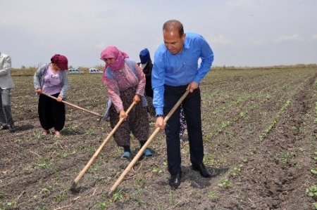 Başkan Sözlü işçilerle çapa yaptı