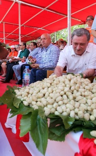 Başkan Yaşar, Ayaş Dut Festivali’ne katıldı