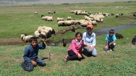 Bitlis'in minik çobanları karnelerini alır almaz sürülerinin başına geçti