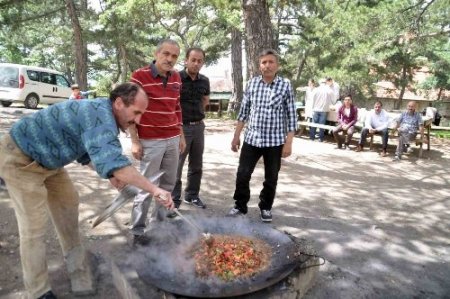 Çamlık Milli Parkı piknikçilerin gözdesi