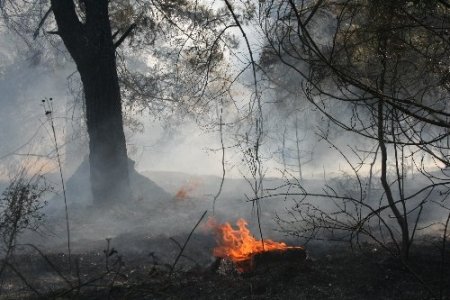 ÇÜ kampüsündeki yangın kontrol altına alındı (2)