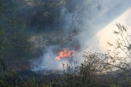 ÇÜ kampüsündeki yangın kontrol altına alındı (2)