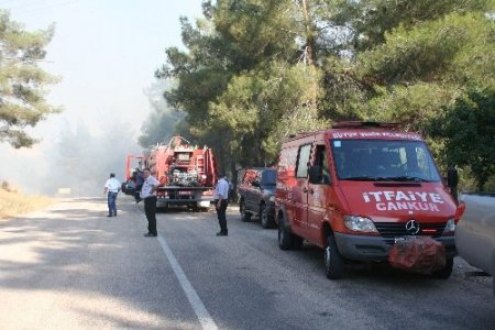 ÇÜ kampüsündeki yangın kontrol altına alındı (2)