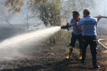 ÇÜ kampüsündeki yangın kontrol altına alındı (2)