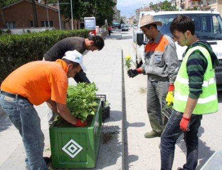 Çubuk'ta parklar ve caddeler çiçek açtı