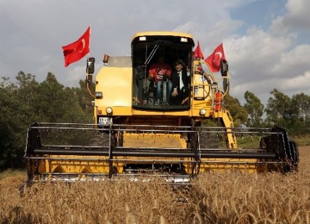 Çukurova Üniversitesi'nde hasat coşkusu