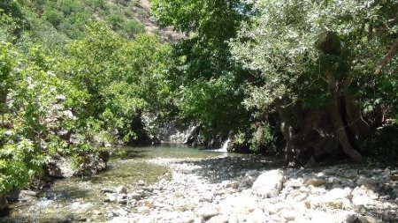 Dağlar arasında gizli kalmış doğal güzellikler 'Çözüm süreci' ile ortaya çıktı