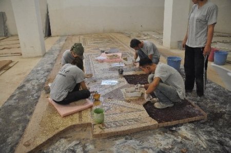 Dünyanın en büyük mozaik müzesine eserler kademeli olarak taşınıyor