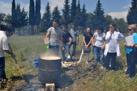 Edremit MYO öğrencilerinden geleneksel zeytinyağı sabunu yapımı