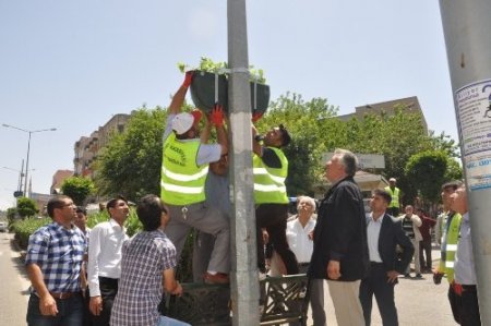 Elektrik direkleri çiçek açtı