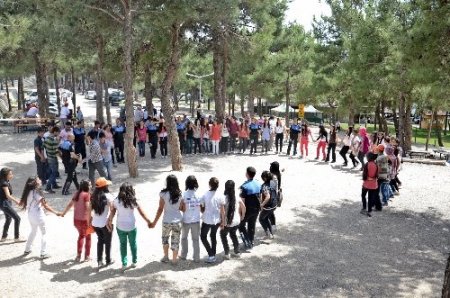 'Farklılıklarımız Zenginliklerimizdir Projesi' ile 200 aile piknikte buluştu