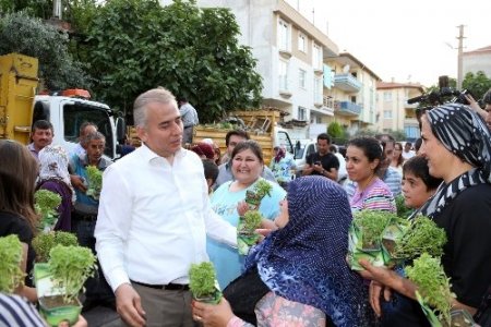 Fesleğen Mahallesi fesleğen kokacak