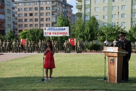 Genelkurmay: Sahil güvenlik yaralı deniz kaplumbağasını kurtardı