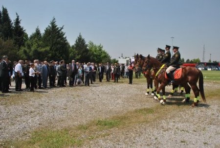 Genelkurmay: Sahil güvenlik yaralı deniz kaplumbağasını kurtardı