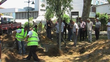 Gezi Parkı'na yeni ağaçlar dikiliyor