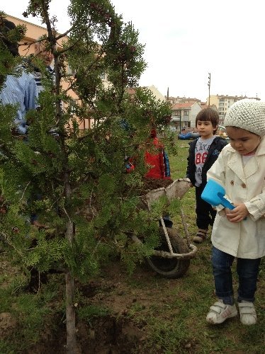 Gonca'lı minikler fidan dikti