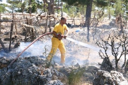 Gülnar'da ağılda çıkan yangın korkuttu