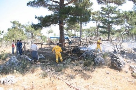 Gülnar'da ağılda çıkan yangın korkuttu