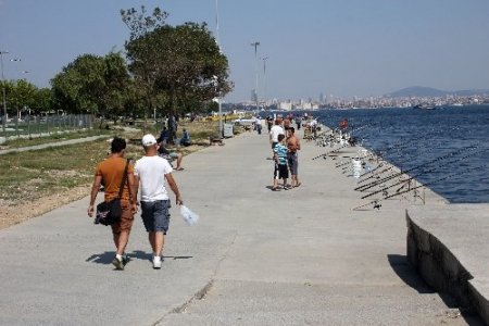 Güneş çarpması ölüme yol açabilir (Özel)