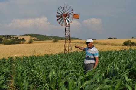 İlkokul mezunu çiftçi yaptığı rüzgar gülü ile su çıkarıp tarlasını suluyor