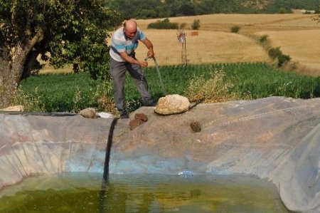 İlkokul mezunu çiftçi yaptığı rüzgar gülü ile su çıkarıp tarlasını suluyor