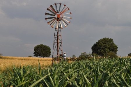 İlkokul mezunu çiftçi yaptığı rüzgar gülü ile su çıkarıp tarlasını suluyor